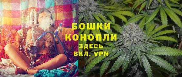 соль ск Алзамай