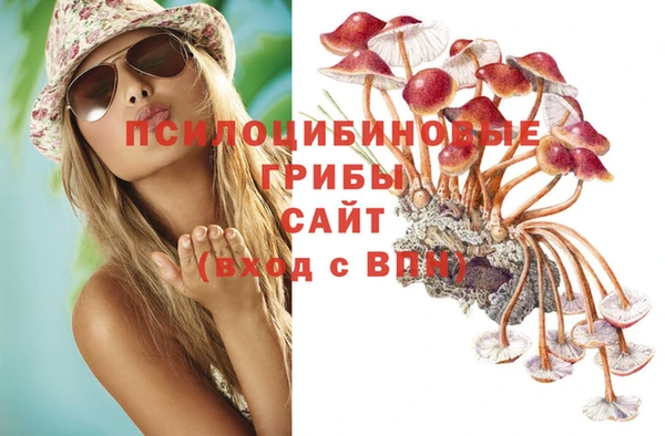 каннабис Алексеевка