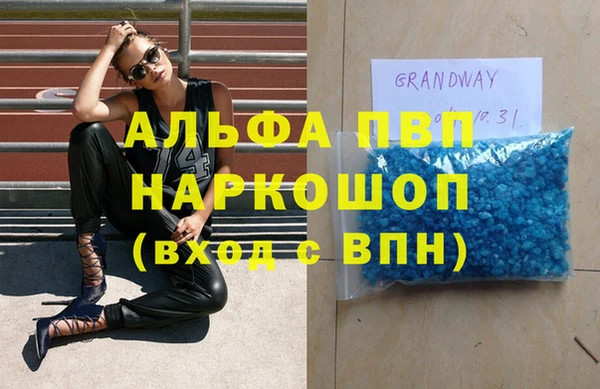 индика Алексин