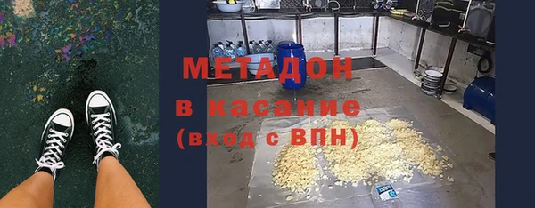 индика Алексин