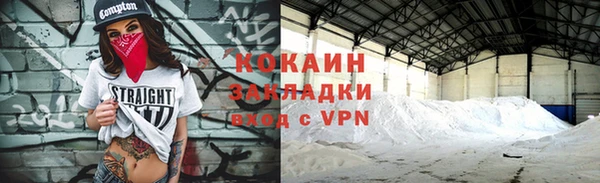 индика Алексин